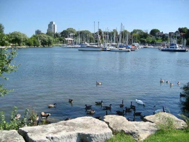 Harbour House Apartment Хамилтън Екстериор снимка